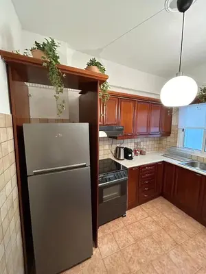 a kitchen with a stainless steel refrigerator and wooden cabinets at Elegant Flat Near Hospitals & Museums in Athens