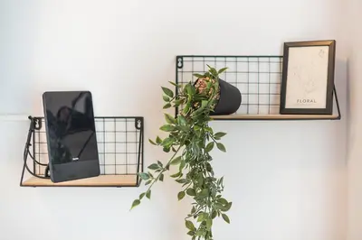 two shelves with plants on them on a wall at Prime City Stay by Cloudkeys in Athens