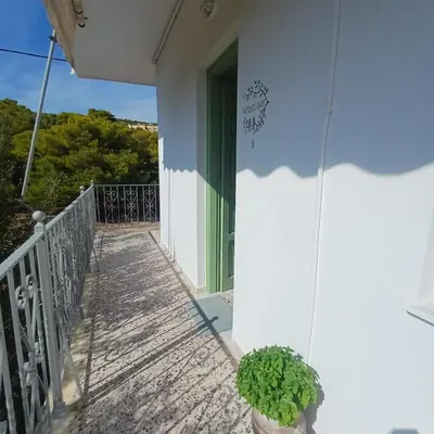 a porch of a house with a potted plant at Kalimera Aegina in Agia Marina Aegina