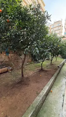 two orange trees in a garden next to a building at Modern 2BR Garden Apartment in Faliro Sleeps 5 in Athens