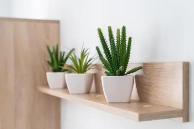 three potted plants sitting on a wooden shelf at Beautiful apartment under Acropolis in Athens