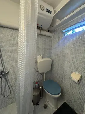 a bathroom with a toilet with a shower curtain at Aiolos cozy GLYFADA near the centre in Athens