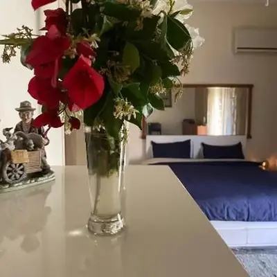 Master private room