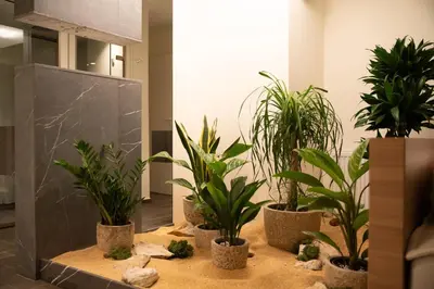 a group of potted plants in a room at ERE Acropolis Courtyard in Athens