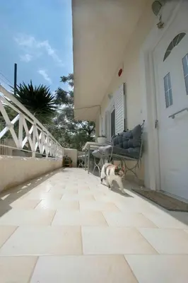 a dog sitting on a porch of a house at DAT Comfy house in Kalívia Thorikoú