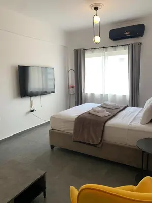 a bedroom with a large bed and a tv at Urban Hermes Apartment in Athens