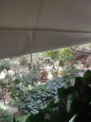 an overhead view of a garden with green plants at By the wave luxurious studios in Piraeus