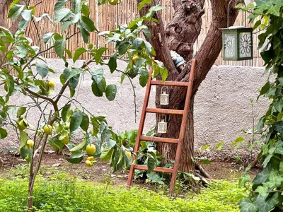 a ladder leaning against a tree in a garden at Cosy House With Garden Glyfada in Athens