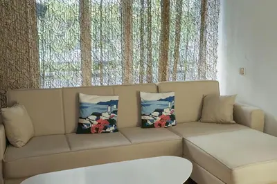 a couch with two pillows on it in a living room at Kassandra lovely floor appartment in Patriarchou Ioakim the heart of Kolonaki in Athens