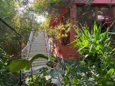 a staircase leading up to a house with trees at Bamboo & Bird House, Chalandri in Athens