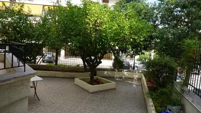 a tree in a concrete planter in a courtyard at George Luxury Apartments in Athens
