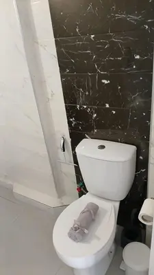 a bathroom with a toilet with a towel on the seat at Афіни Лофт in Piraeus