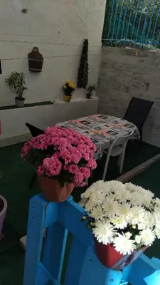 two potted flowers sitting on a blue table with a table with a tableablish at Kipsely room in Athens