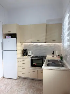 a kitchen with a white refrigerator and a sink at Sophie's apartment near metro in Athens