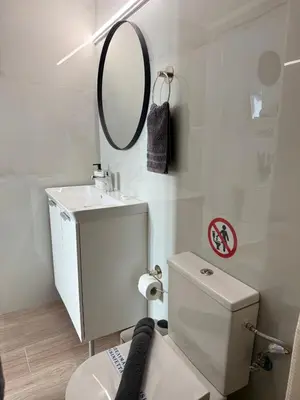 a bathroom with a white toilet and a mirror at Sophie's apartment near metro in Athens