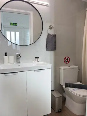 a bathroom with a sink and a mirror and a toilet at Sophie's apartment near metro in Athens