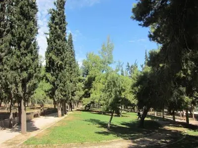 a park with green grass and trees on a sunny day at A perfect place - close to Acropolis & Seacoast in Athens