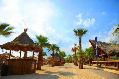 a resort with palm trees and umbrellas on a beach at A perfect place - close to Acropolis & Seacoast in Athens