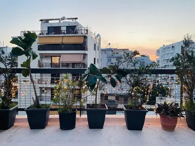 a group of potted plants inront of a building at Roof top 5 steps from the beach in Athens