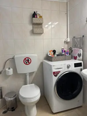 a bathroom with a toilet and a washing machine at Bakopoulos resort στο Μπουρνάζι in Athens