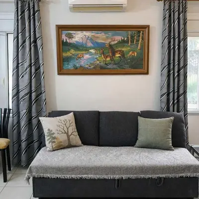 a couch in a living room with a painting on the wall at Zografou Cozy Apartment in the heart of Athens! in Athens