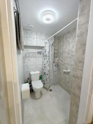 a bathroom with a toilet and a shower at evaxila papaflessa in Glyka Nera