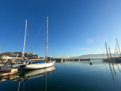 a group of boats docked in a harbor at The Fisherman's Romance in Piraeus