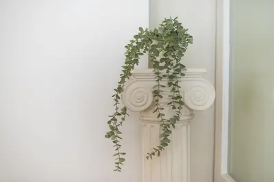 a white vase with a green plant on a wall at Athena House Elegant Stay For Families By Greece Apartments in Athens