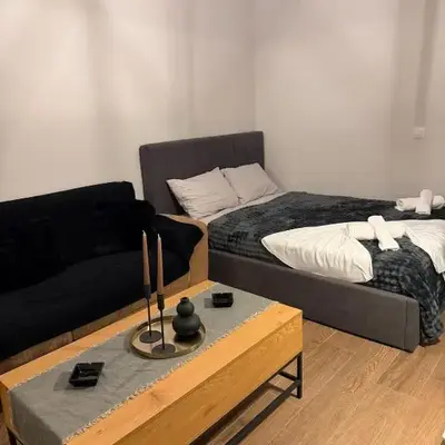 Modern studio apartment