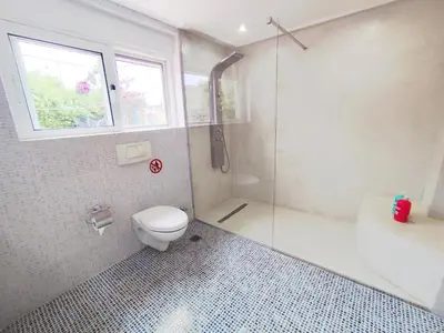 a bathroom with a toilet and a shower and a window at Thimari Sports & Spa with private pool and jacuzzi in Sounio