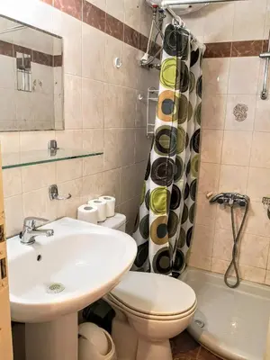 a bathroom with a sink and a toilet and a shower at Zenios Kisamos-Pretty comfy studio in Athens