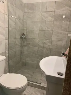 a bathroom with a shower and a toilet and a sink at Holodek Apartments Ground & SemiBasement in Athens