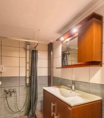 a bathroom with a sink and a shower at Holodek Apartments Ground & SemiBasement in Athens