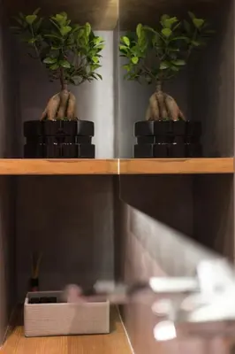 two potted plants sitting on a wooden shelf at Luxury 2 bdrm apartment 10' minutes walk from the Acropolis in Athens