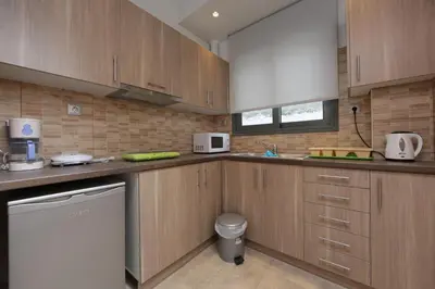 a kitchen with wooden cabinets and a white appliance at Meni Apartments in Athens