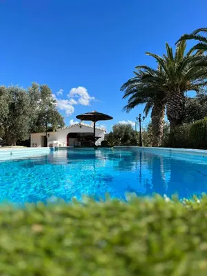 a large blue swimming pool with a palm tree at Villa Noaina in Lagonissi in Lagonissi