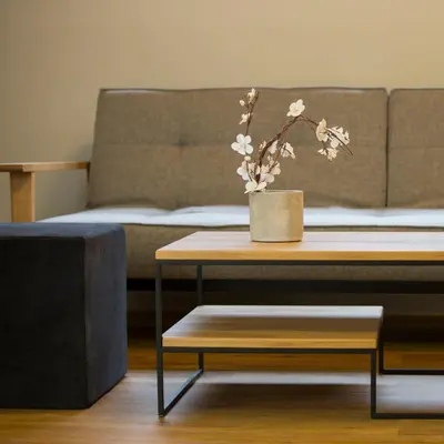 a table with a potted plant on top of a couch at Pi Athens in Athens
