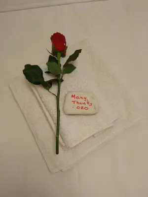 a rose on a napkin with a happy thanksgiving message at Oro's Stylish Kolonaki Flats Next to Metro & Museums in Athens