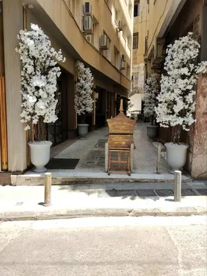a row of potted trees inront of a building at Lekka 10 Apartments in Athens