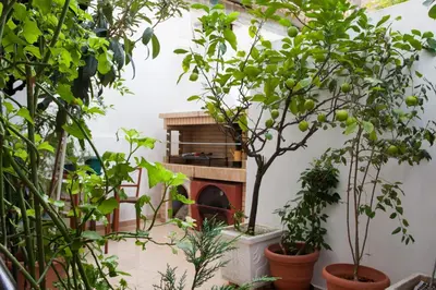 a greenhouse with trees and a pizza oven at Psyri Neoclassical House Yard Free Parking in Athens