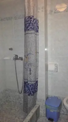 a shower in a bathroom with a toilet and a shower curtain at Hotel Korydallos in Piraeus
