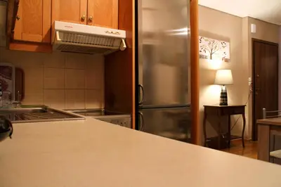 a kitchen with a stainless steel refrigerator at Ouranos Apartment in Athens