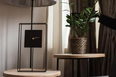 a clock on a table next to a potted plant at Acropolis Exclusive Residences in Athens