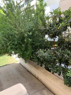a row of bushes and trees in front of a building at Glyfada Centre Studio in Athens