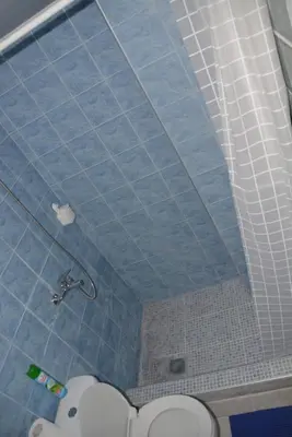 a bathroom with a shower and a toilet in it at Cosy Apartment Pinotsi in Athens