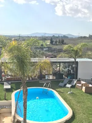 a swimming pool in a yard with a palm tree at Gallery Basement in Villa Vravrona in Markopoulo