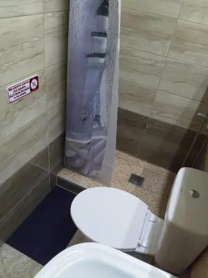 a bathroom with a white toilet and a shower at Cosy apartment Acropolis Point-3 in Athens