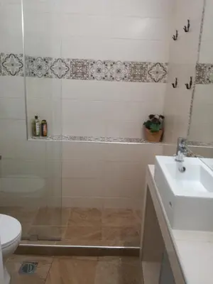 a bathroom with a shower and a sink and a toilet at Miranda's Apartment in Thissio in Athens