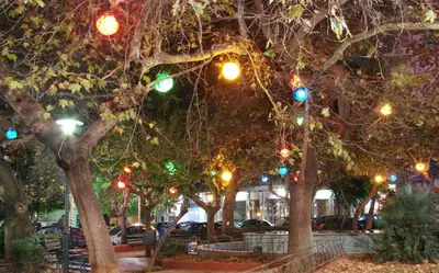 a row of trees with christmas lights on them at Errathens Wheat Apartment - Athens Center, 3 BD, 1 BATH in Athens