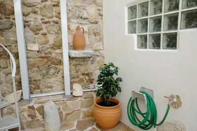 a plant in a pot next to a stone wall at George Studio in Athens